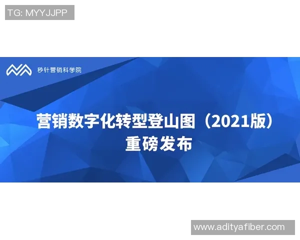 以体育组织发展为核心推动力的现代体育产业转型与创新路径探讨