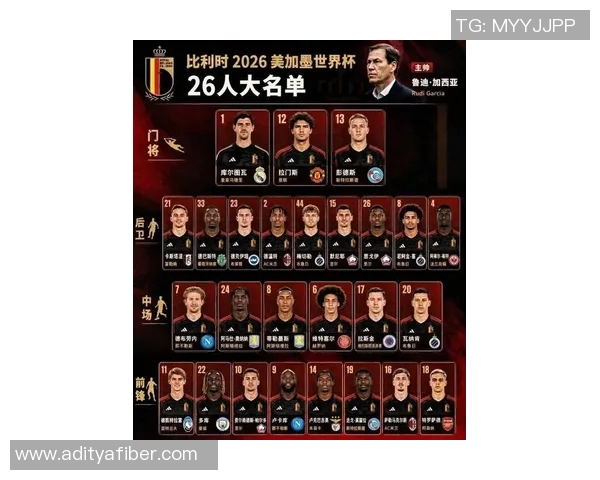2021年比利时足球明星盘点与成就分析